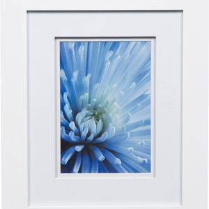 Blue Mums in 8x10 Flat White Tabletop/Wall Frame, Double Mat, 5x7 interior